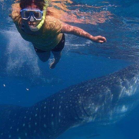 nadinearafiles's profile picture. evergreattita!!