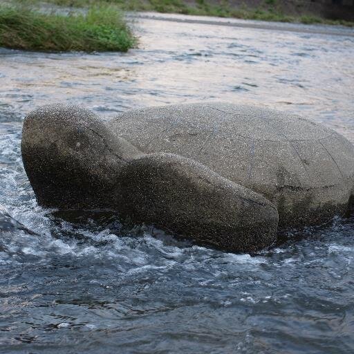 117.