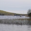 Ingrid Nyman - @ingridnyman1 - Twitter