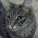 Cheryl Mallon-Bond - @1_hand_1_heart - Twitter