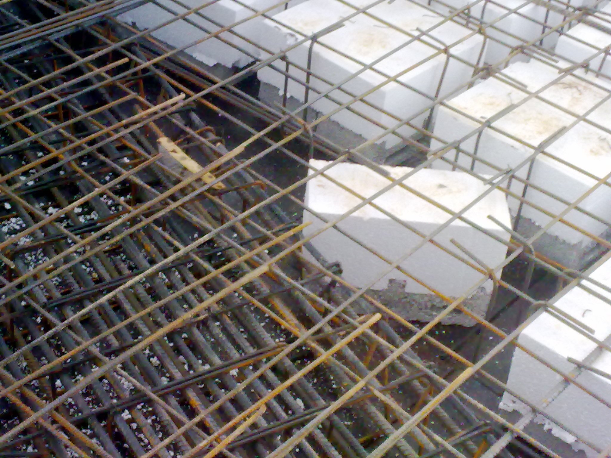 navranoi's profile picture. 