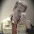 NicTwitta's profile image