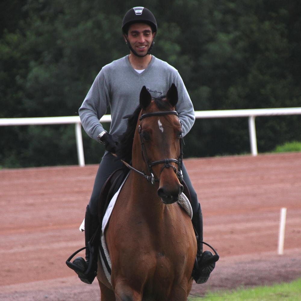 Professional showjumper living in Belgium.