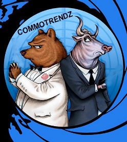 THE SHARE n COMMODITY BROKER