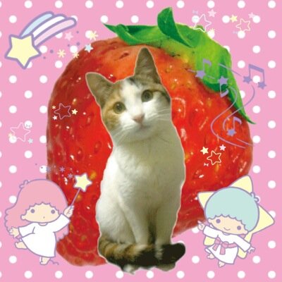 kiki_albarn's profile picture. PARK★LiFEとゆ～おみせを下北沢でしていたものです。アカツキ.スタッフ。ねこが好き。blurが好き。キキララさんが好き。2022年9月、臍帯血移植で生まれ変わりました！生きてる！https://t.co/YD3X8Q5IYz
