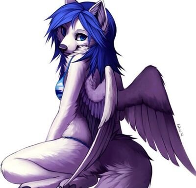 Hiya im Rebecca, I have wings :3. #18+ #Taken by my lovely @furrystormfire