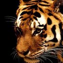 Benedict Adams - @AdamsBenedict - Twitter