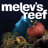 Marc Levenson (@melevsreef) 's Twitter Profile