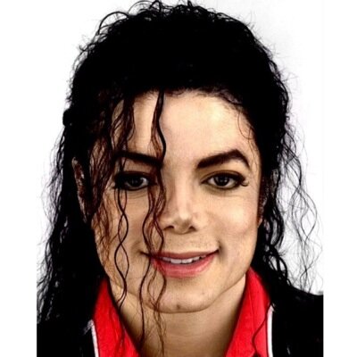 Interested in MJ facts? What he liked to do offside the scene or what his favourite branch were? Find out here!