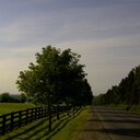 Eva Kidd - @eva_kidd - Twitter