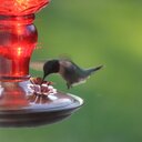 marion walter - @marion256 - Twitter