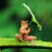 mumeasy's profile image