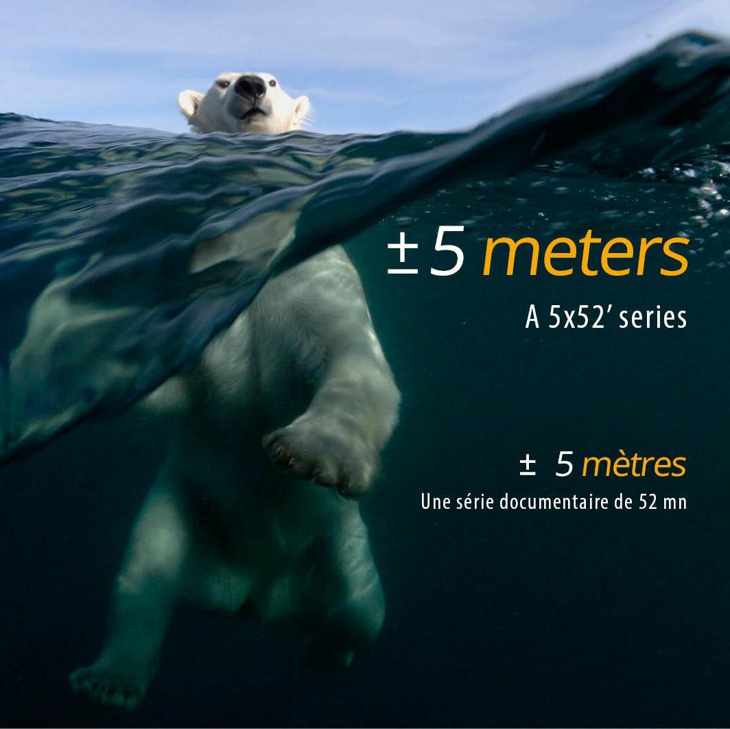 A documentary series following Joe BUNNI while he photographs the nature living at more or less five meters from the ground or the sea.
