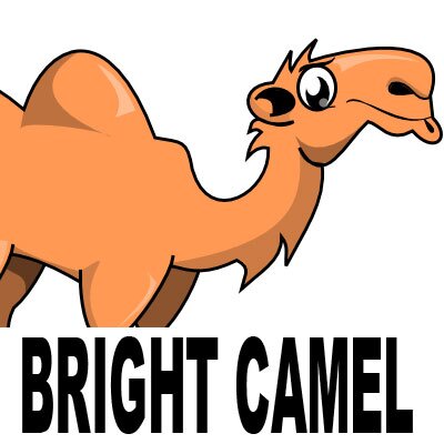 BrightCamel's profile picture. Delivering viral content that you will surely enjoy.