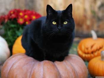 adamova00023's profile picture. Люблю любить