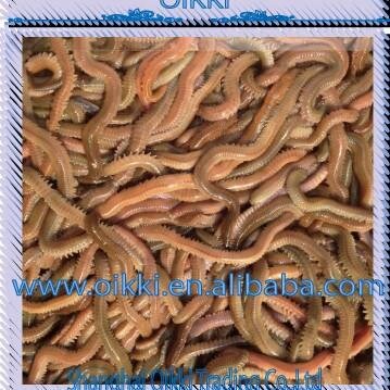 live bait supplier in China