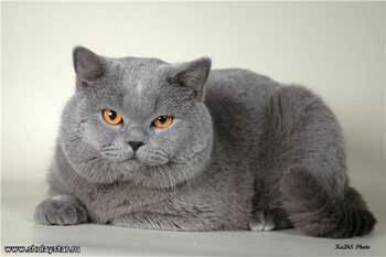 adamova00026's profile picture. Люблю читать