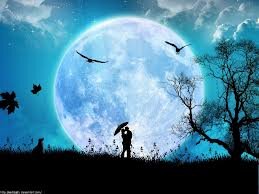 bielen91's profile picture. 