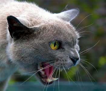 adamova00028's profile picture. Любите себя