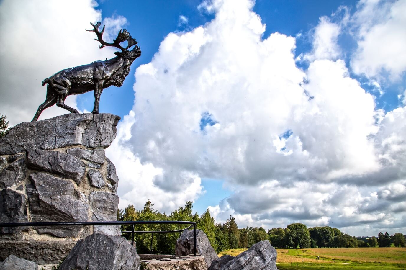 NFLDGreatWar's profile picture. WWI and Newfoundland Historian, avid motorcyclist with the need for -----, Guide, Volunteer and bunch of more stuff. My opinions are my own...