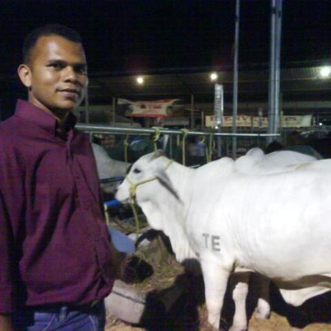 GatitaErik's profile picture. Nacido en Libertad de Barinas en el año 1980 Lcdo en Ciencias del Deporte y amante de Llano Venezolano y las Mujeres.