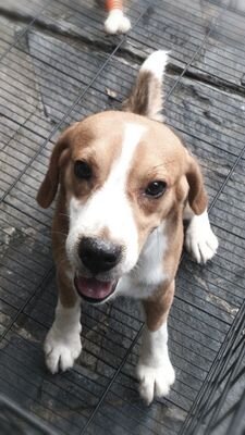 KvnKurniadi's profile picture. 