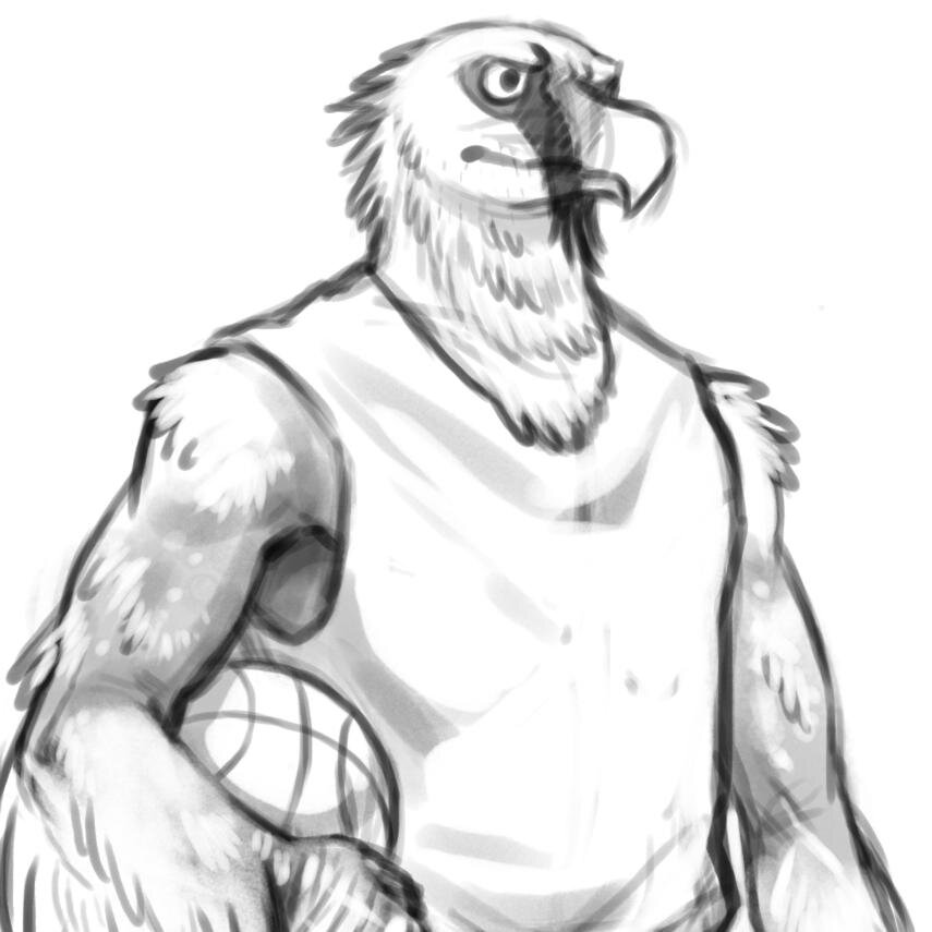 Hippogryph, FBA Draft candidate