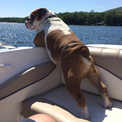 Kingsley53's profile picture. 