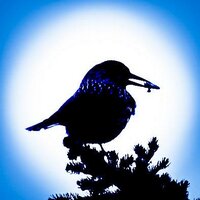 北八ヶ岳  高見石小屋 (@takamiishigoya) 's Twitter Profile Photo