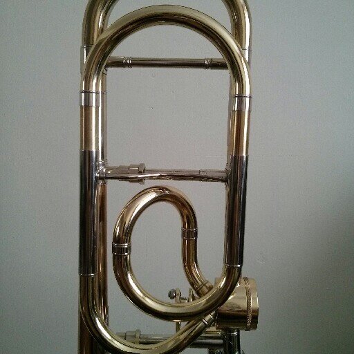 Professional Trombone player in London UK.