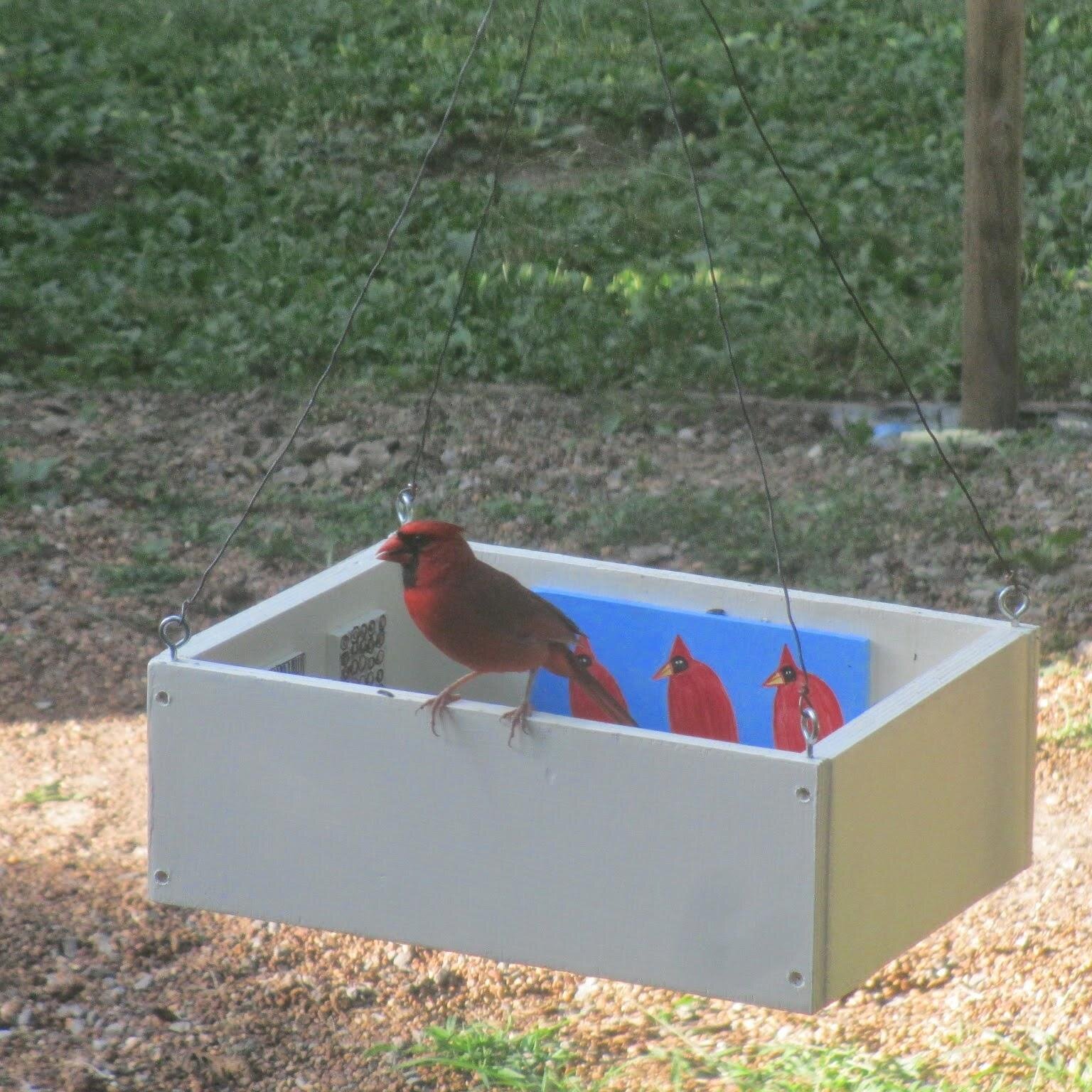 holaavocado's profile picture. Cohort 3 @Ed_cooperative