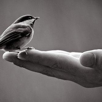 ivap777's profile picture. Patricia Ivan