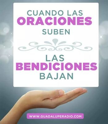 rodriguezbolo11's profile picture. 