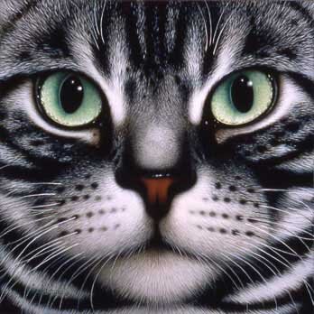 adamova00032's profile picture. люблю петь и танцевать, люблю общаться