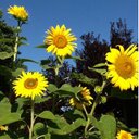 Mary Wiegold - @MtnMary0309 - Twitter