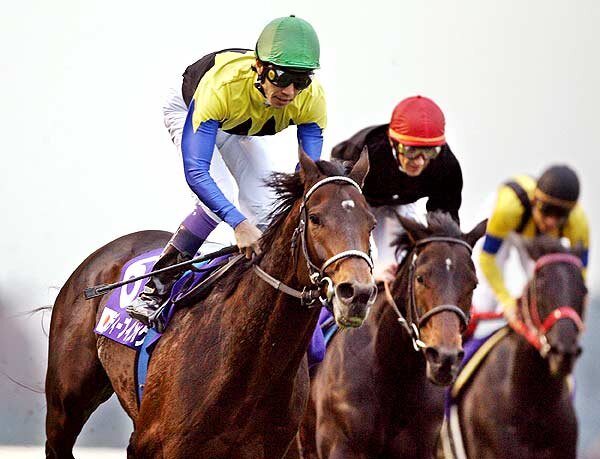 Betmarathoner's profile picture. Horse racing punter