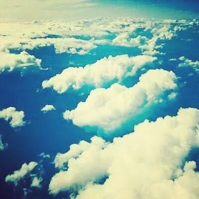 RedCat483's profile picture. 