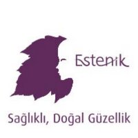 Estenik(@estenik) 's Twitter Profile Photo