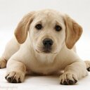 Jade Pickering - @13jpickering - Twitter