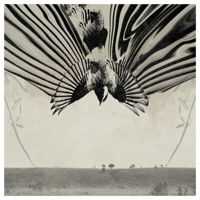 FedtotheOceanUK's profile picture. KJM Bookings