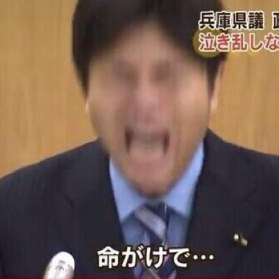 美菜
