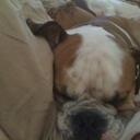 Dan Powell - @thedanpower - Twitter