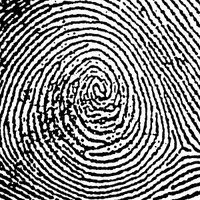 ForensicScienceWeek (@forsciweek) 's Twitter Profile