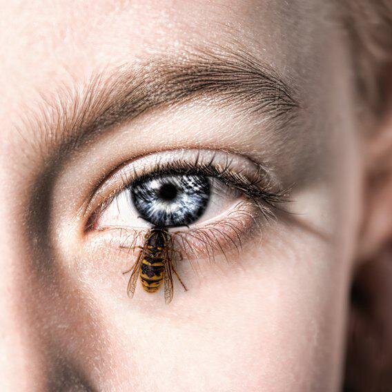 Mírame a los ojos y sabrás lo que pienso (sobre todo si yo estoy mirándote al escote)