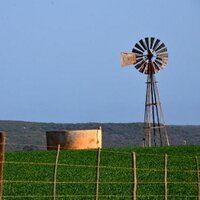 SouthCape (@thesoutherncape) 's Twitter Profile