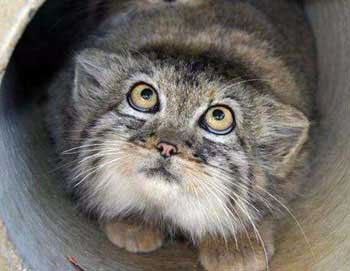 adamova00047's profile picture. Воспитываю сына