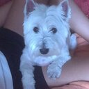 Marian Alvarez - @marian24333 - Twitter