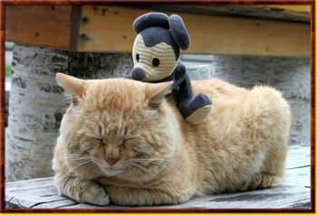 adamova00048's profile picture. Люблю петь в душе