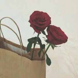Inst : amal_332211