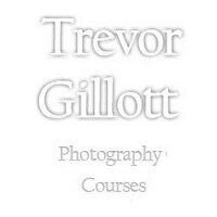 Trevor Gillott - @pipethreader Twitter Profile Photo